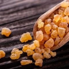 Ak Günlük Sakızı ( Taş Bahur)