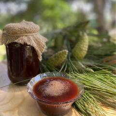 Kozalak Şurubu 450 gr