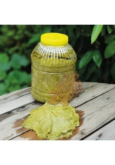Salamura Asma Yaprağı 5 lt ( net 3 kg)