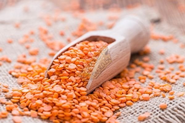 Yerli Kırmızı Mercimek 1 kg